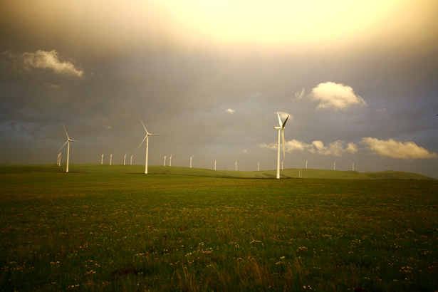 Daode Wind Power Project