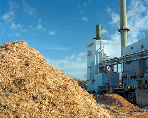 Biomass Power Generation